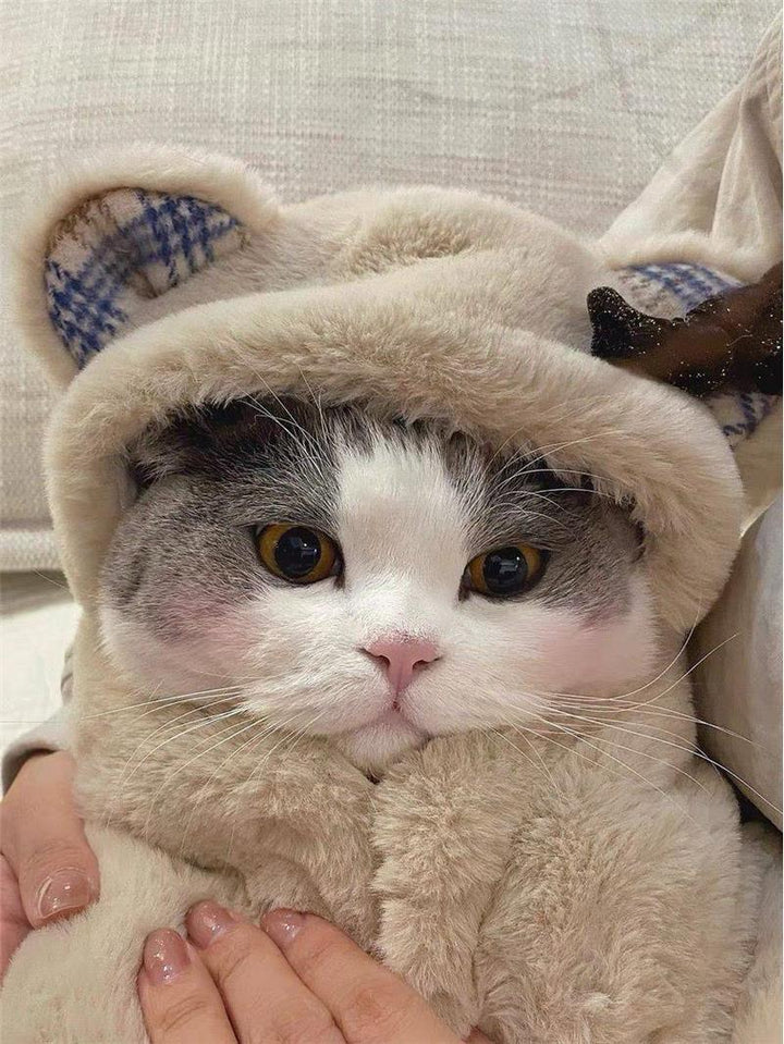 The Ultimate Comfort for Your Furry Friend: Plush Cloak Clothes