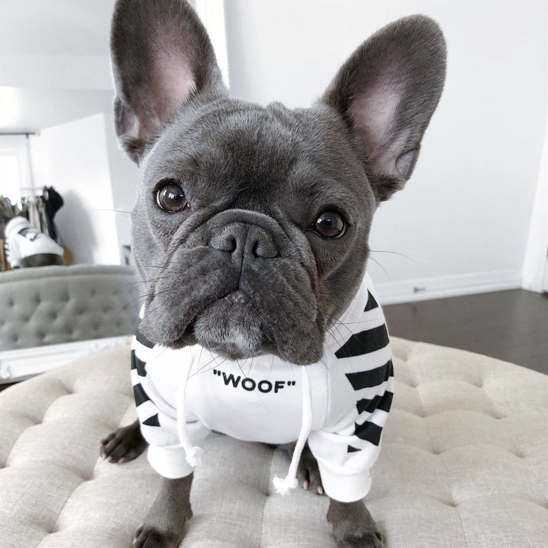Elevate Your Pet's Style with Corgi Schnauzer Fashion