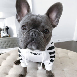 Elevate Your Pet's Style with Corgi Schnauzer Fashion