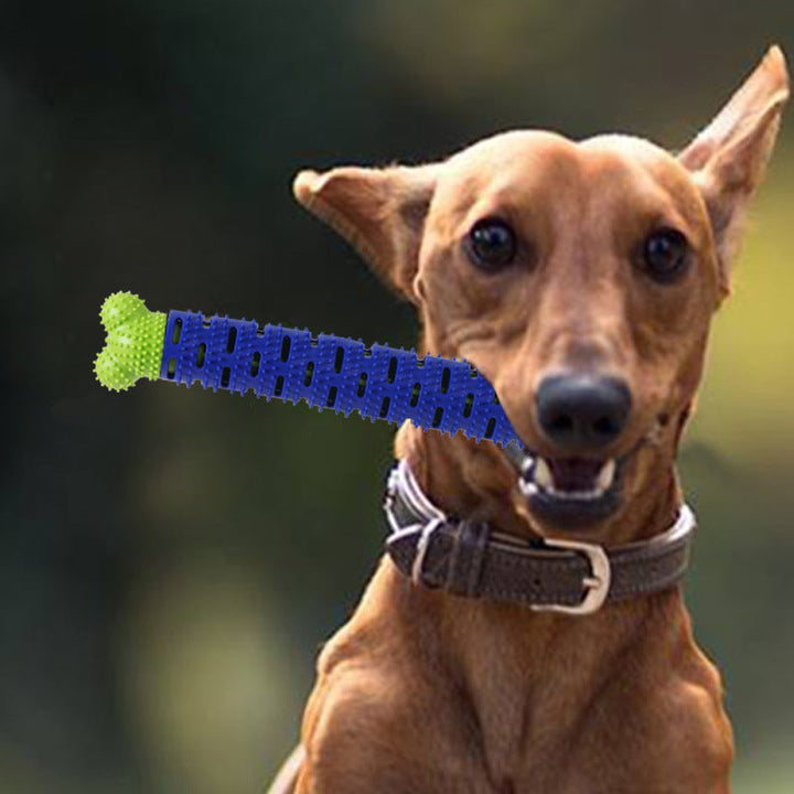 The Ultimate Chewing Companion for Your Dog