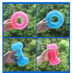 The Ultimate Playtime Experience for Your Dog