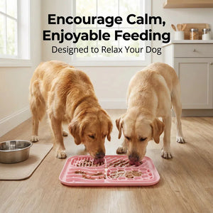 Why Your Dog Needs the Suction Cup Dog Slow Feeder Anti-Choking Mat Bowl