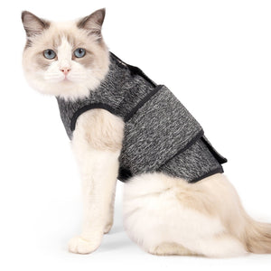 Stylish Spring Attire for Your Feline Friend