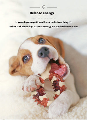 Unleash the Fun with Our Dog Pet Molar Toy Bite-resistant Bone