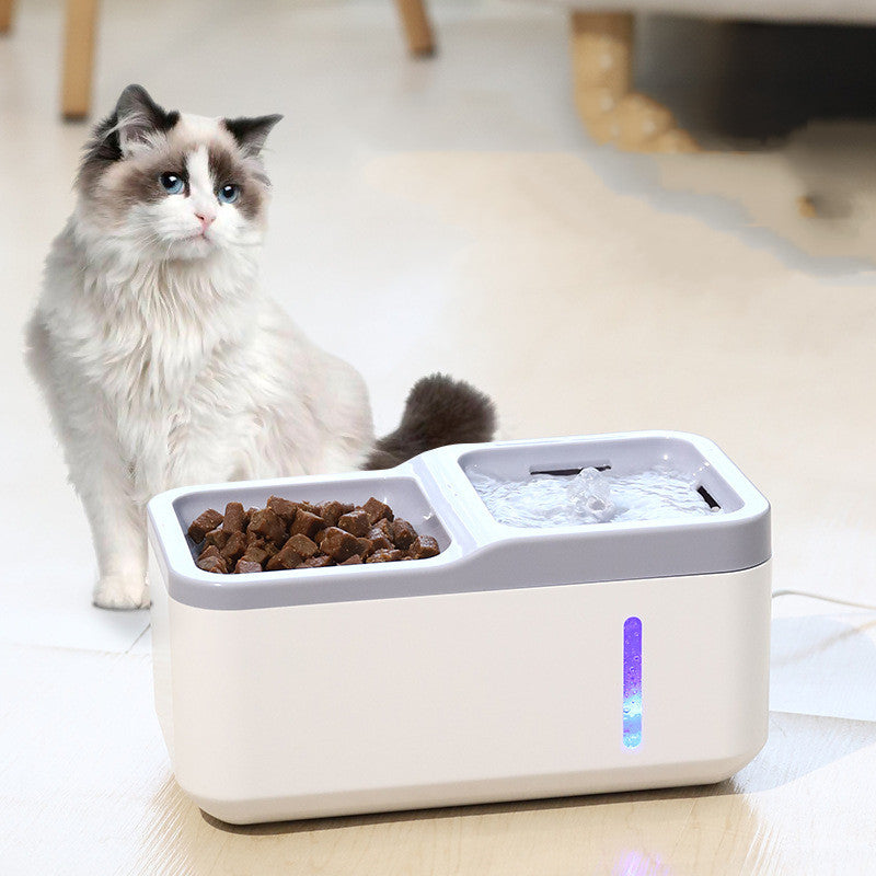The Ultimate Solution for Your Cat’s Hydration Needs