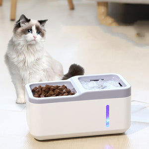 The Ultimate Solution for Your Cat’s Hydration Needs