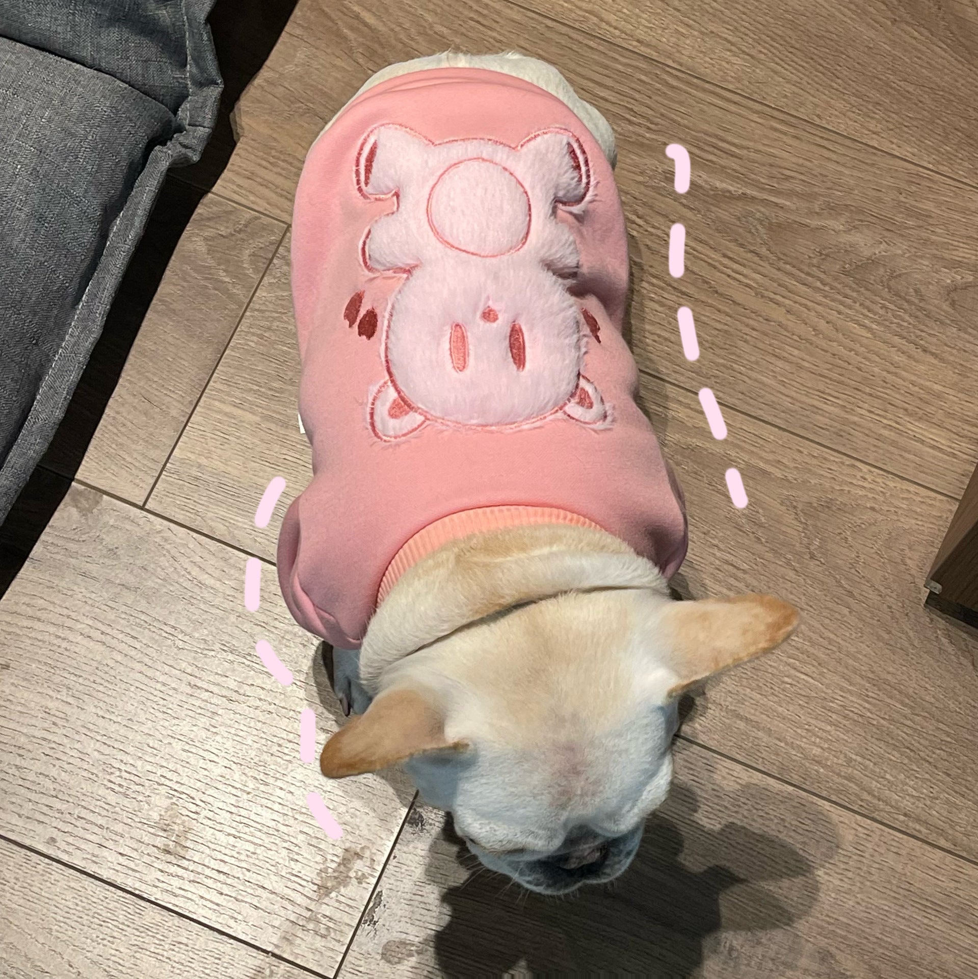 Unleash Your Pet's Inner Princess with Our Plush Sweater!