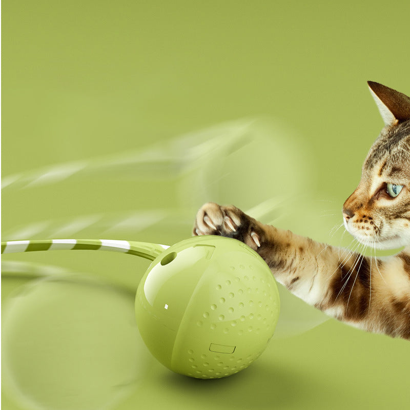 Why Your Cat Deserves the Best: Interactive Electric Balls