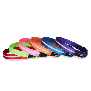 Light Up Your Night Walks: The Creative LED USB Charging Luminous Pet Leash