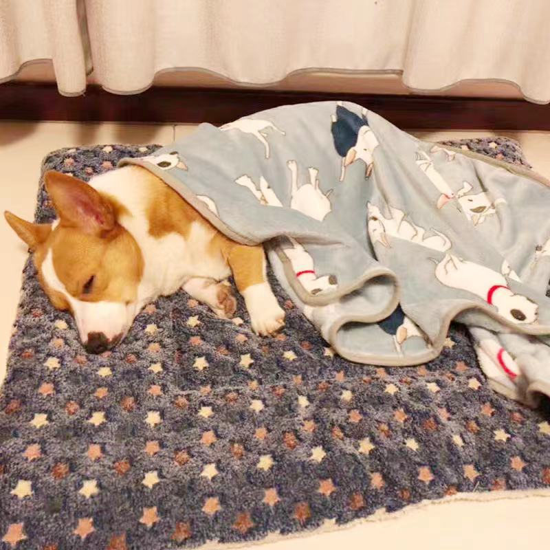 Kennel Mat Fall Winter Pet Thicken Blanket Quilt
