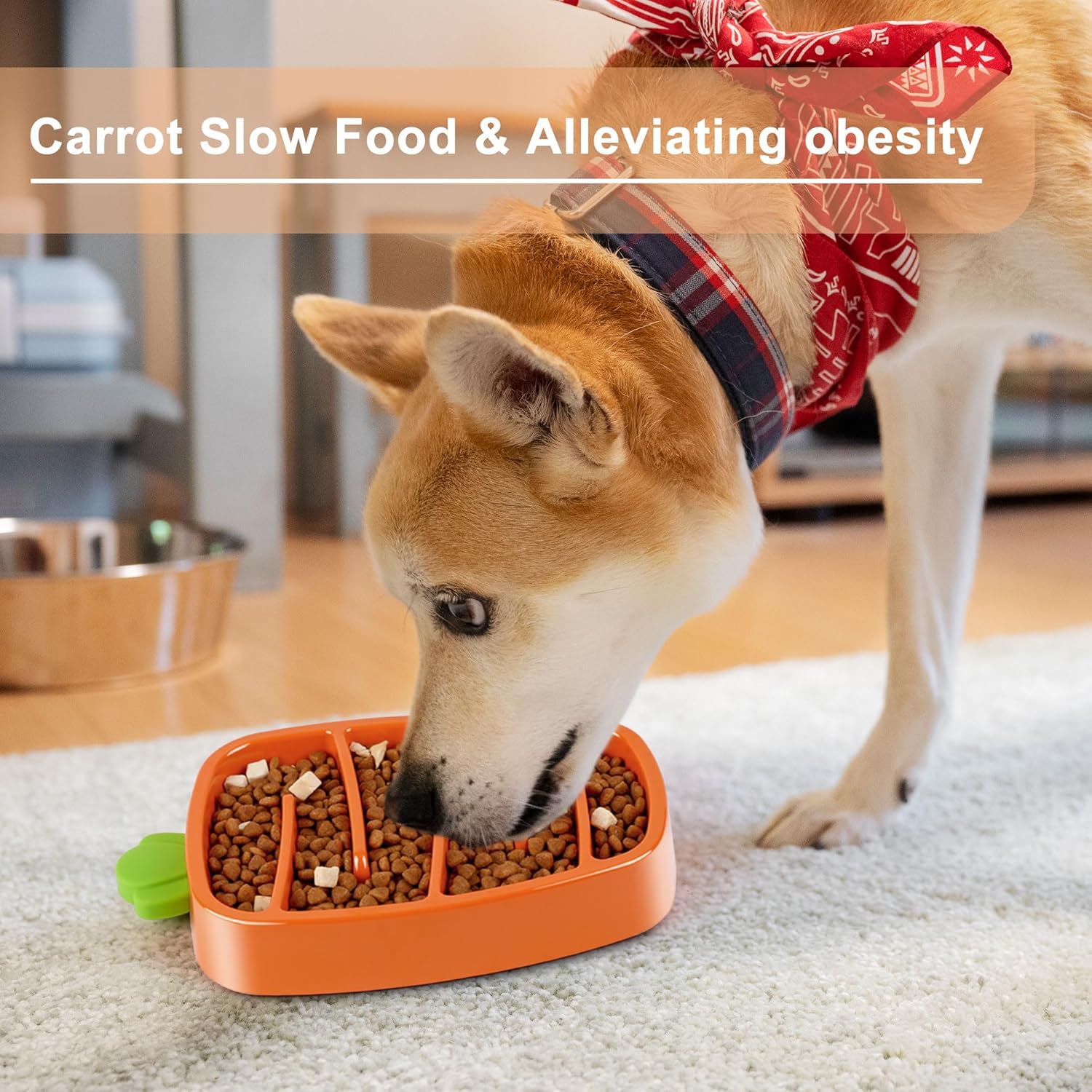 Carrot Design Non-Slip Slow Feeder Dog Bowl