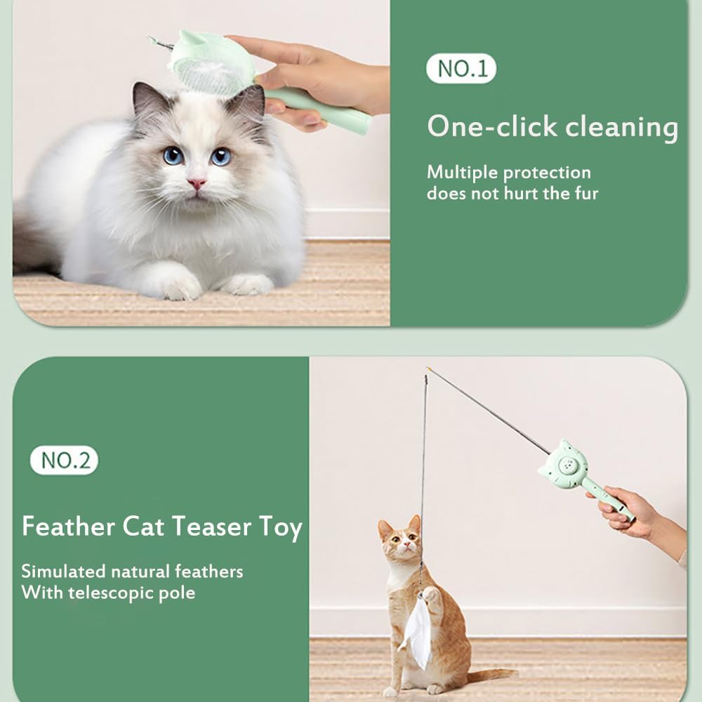 Cat Brush Toy 5-in-1 Interactive Toys