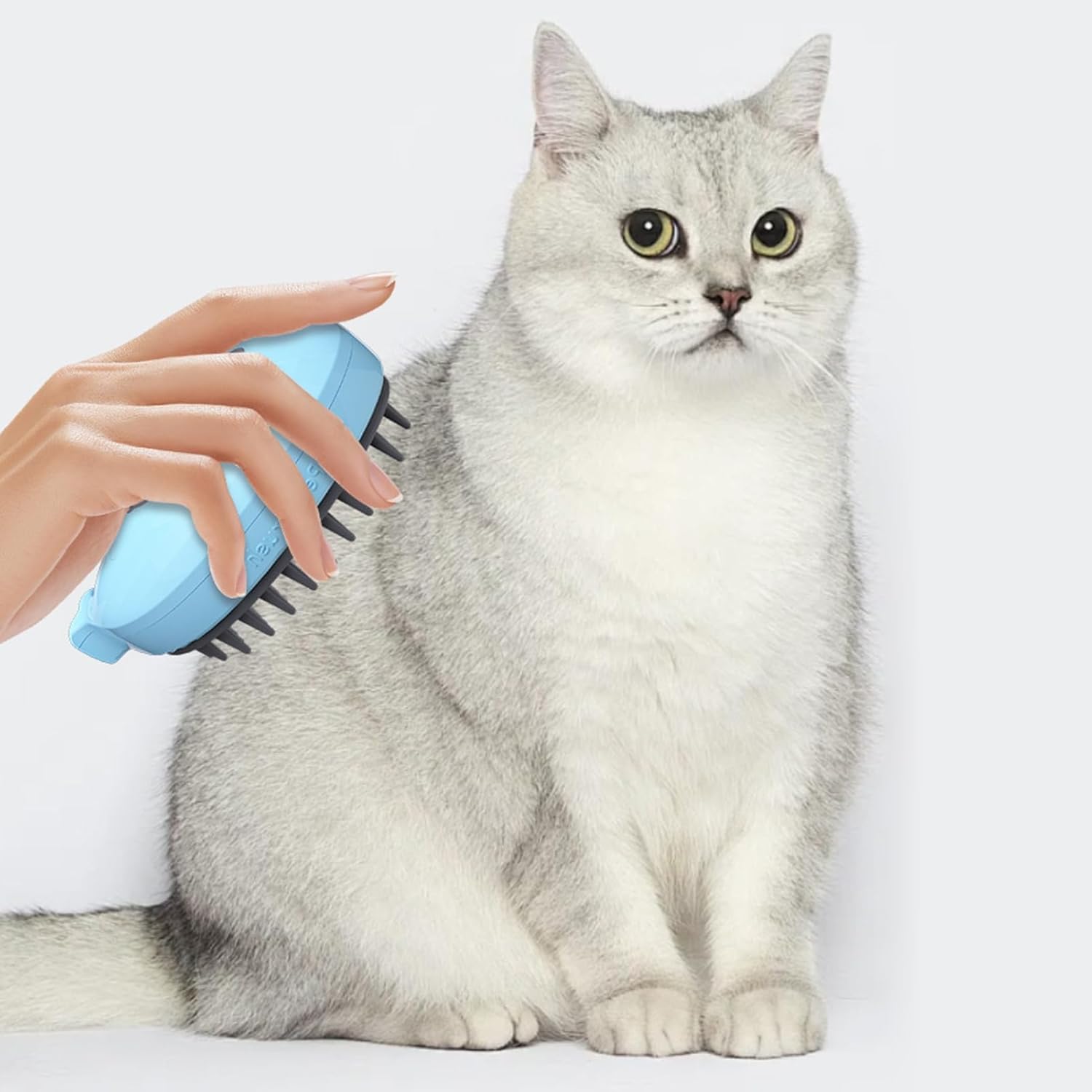 Steamy Cat Brush - 3-in-1 Whale-Shaped Cat Steam Brush