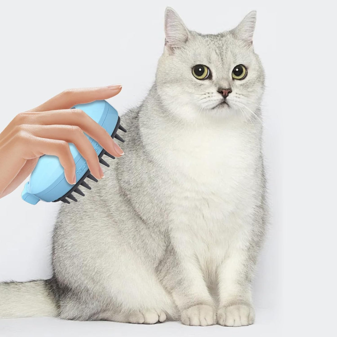 Steamy Cat Brush - 3-in-1 Whale-Shaped Cat Steam Brush