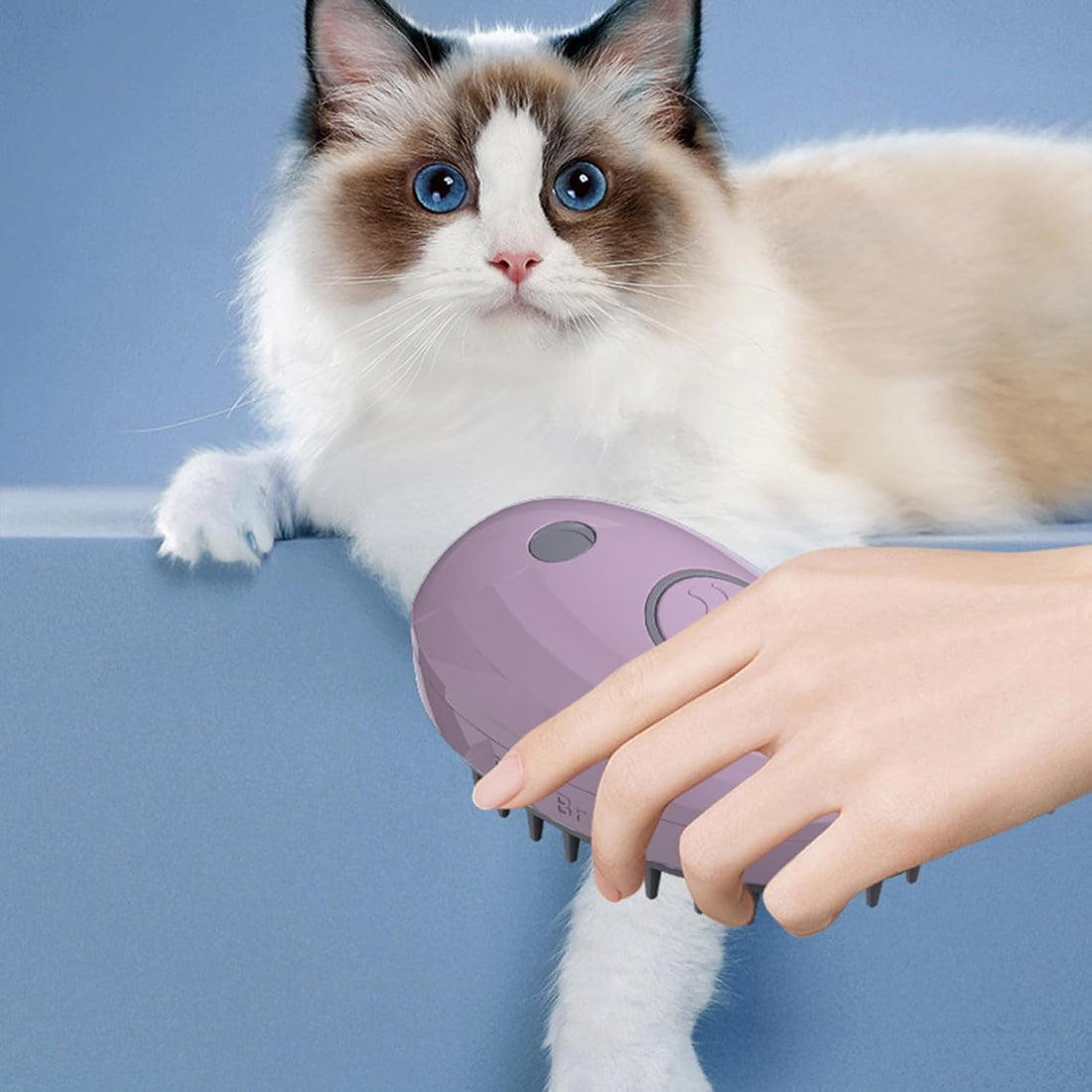 Steamy Cat Brush - 3-in-1 Whale-Shaped Cat Steam Brush