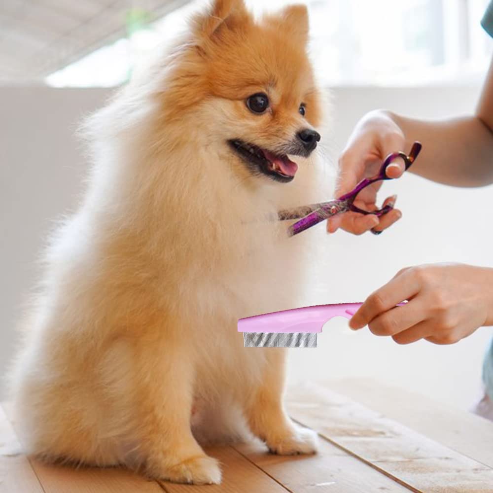 Multifunctional Pet Grooming Comb Tear Stain Removal Brush Kit
