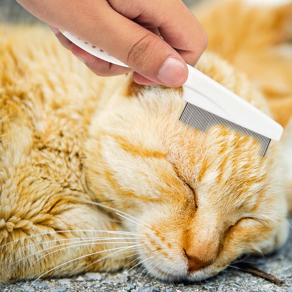Multifunctional Pet Grooming Comb Tear Stain Removal Brush Kit