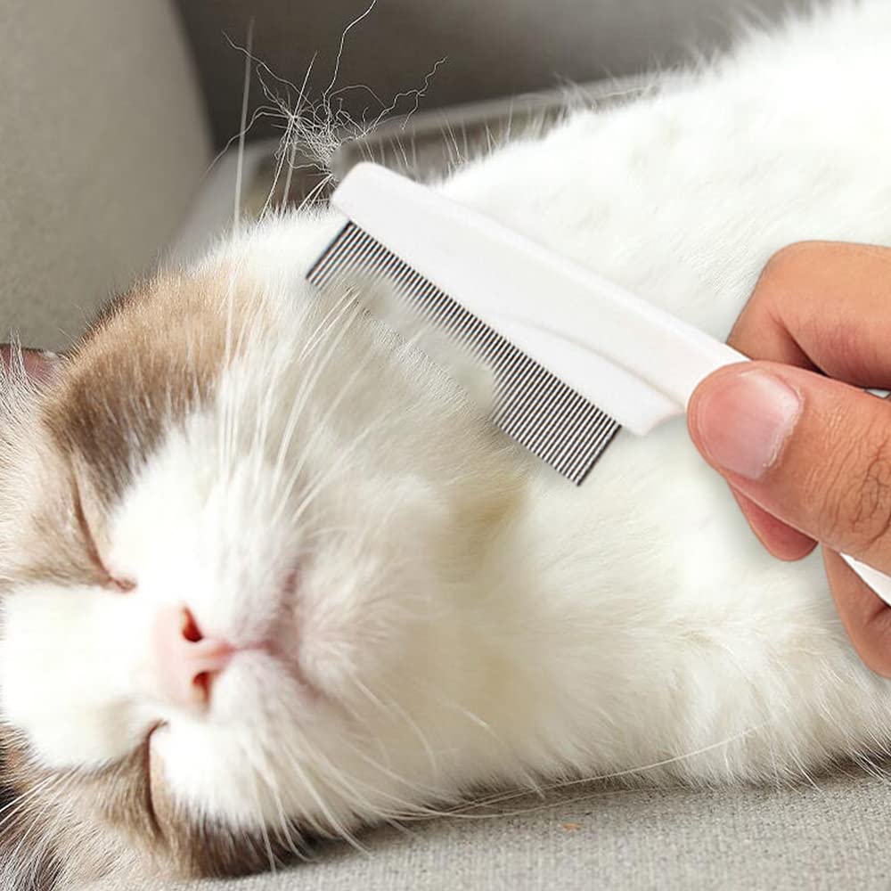 Multifunctional Pet Grooming Comb Tear Stain Removal Brush Kit