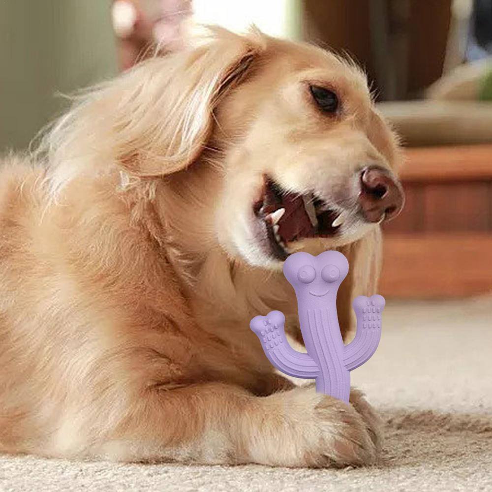 Cactus Dog Chew Toy For Aggressive Chewers