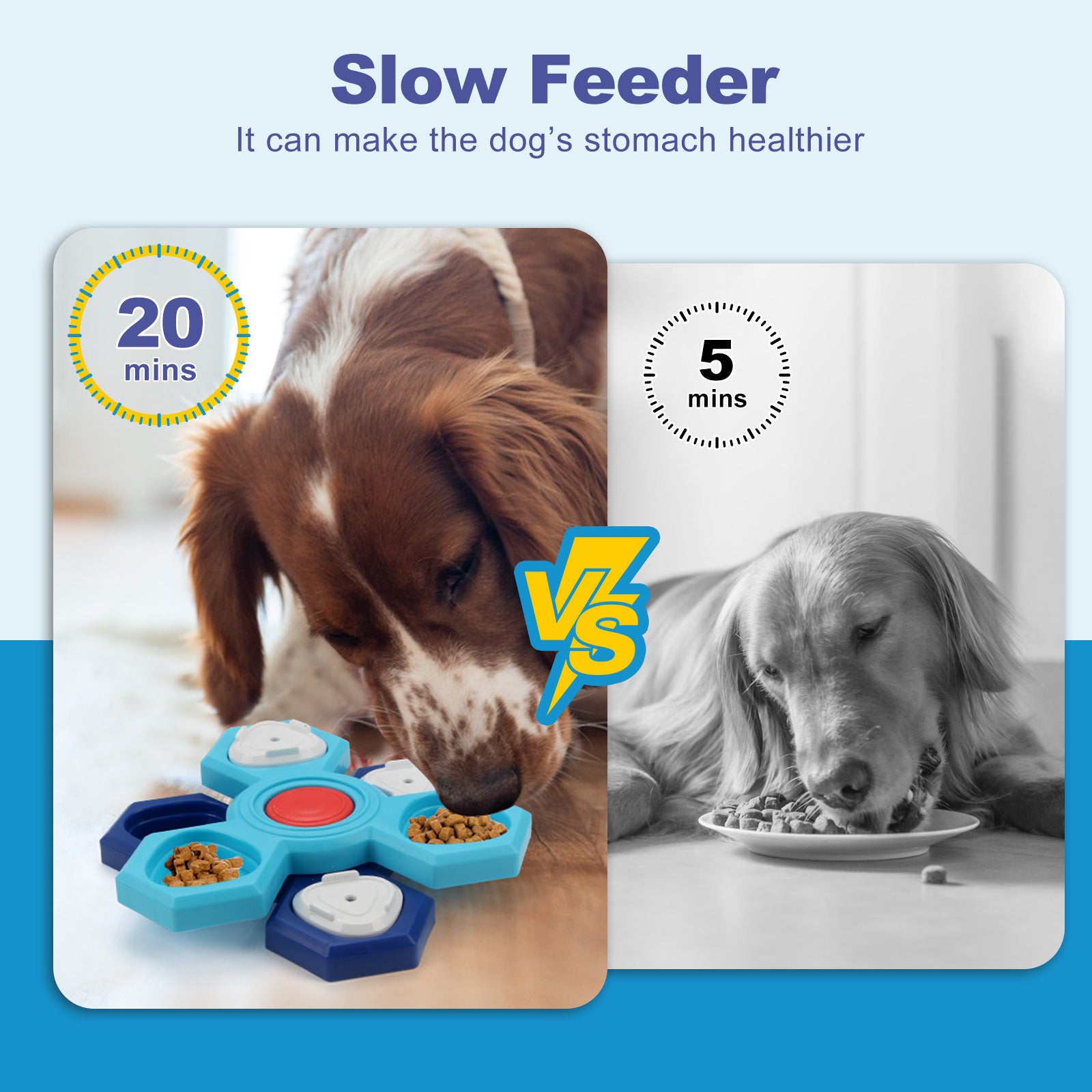 4-Layer Puzzle Slow Feeder Dog Bowl Interactive Game