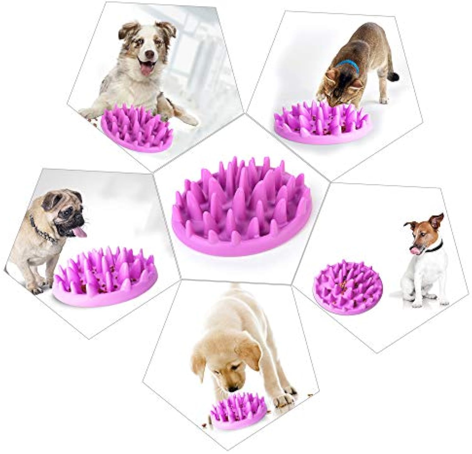 Cat  And  Dog Slow Feeder Bowl Non Slip Interactive Puzzle Feeder