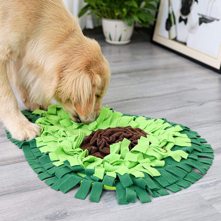 Dog Sniffing Mat Puzzle Toy Feeding Training Mat