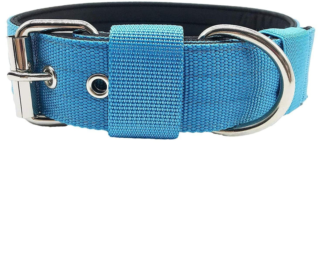 Foam Nylon Pet Collar Bandana Accessory
