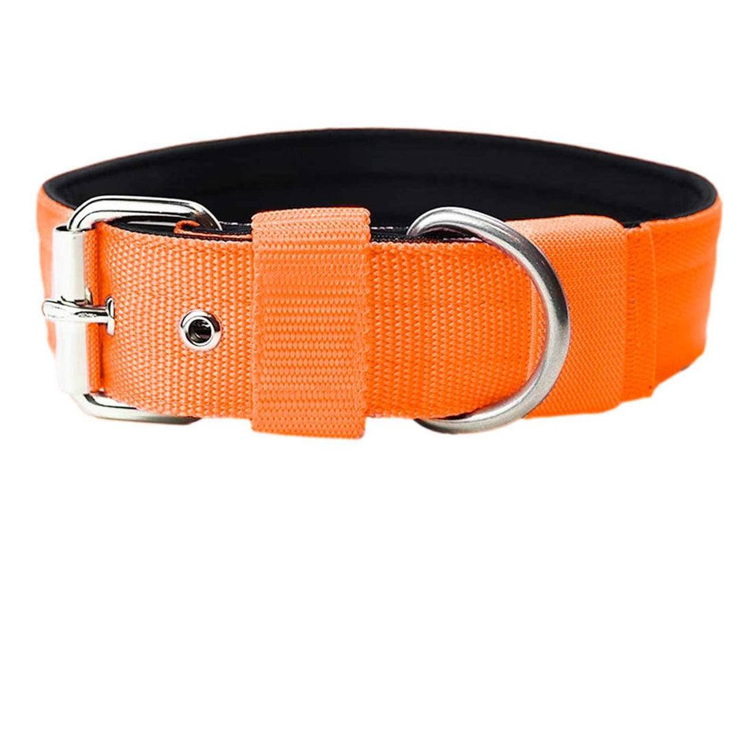 Foam Nylon Pet Collar Bandana Accessory