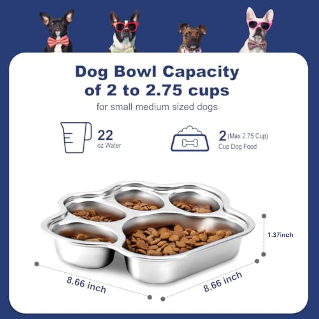 Stainless Steel Non-Slip Slow Feeder Dog Bowl