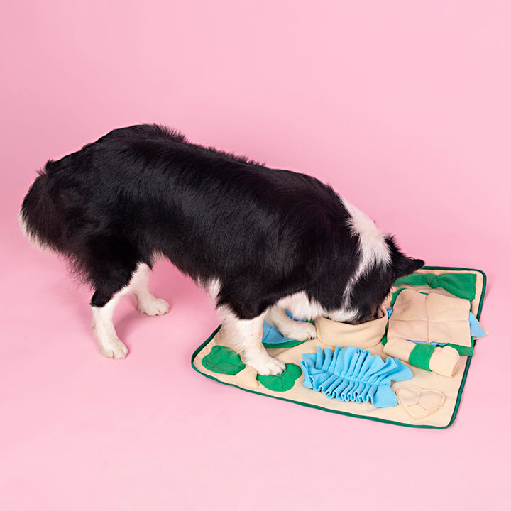 Snuffle Mat for Dogs, Nosework Feeding Blanket Sniffing