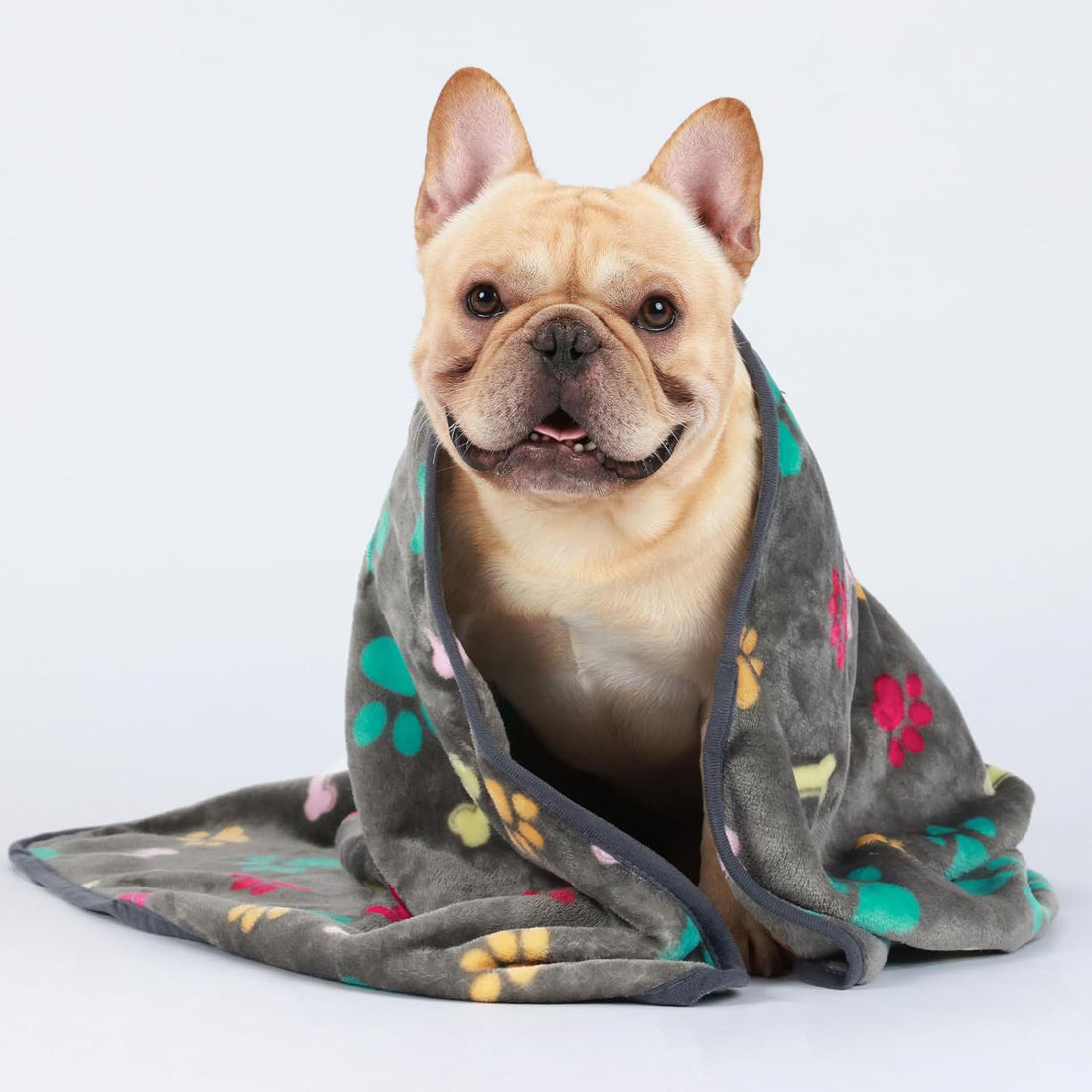 Pet Blanket Pad Warm Blanket Confetti Bone Paw Blanket