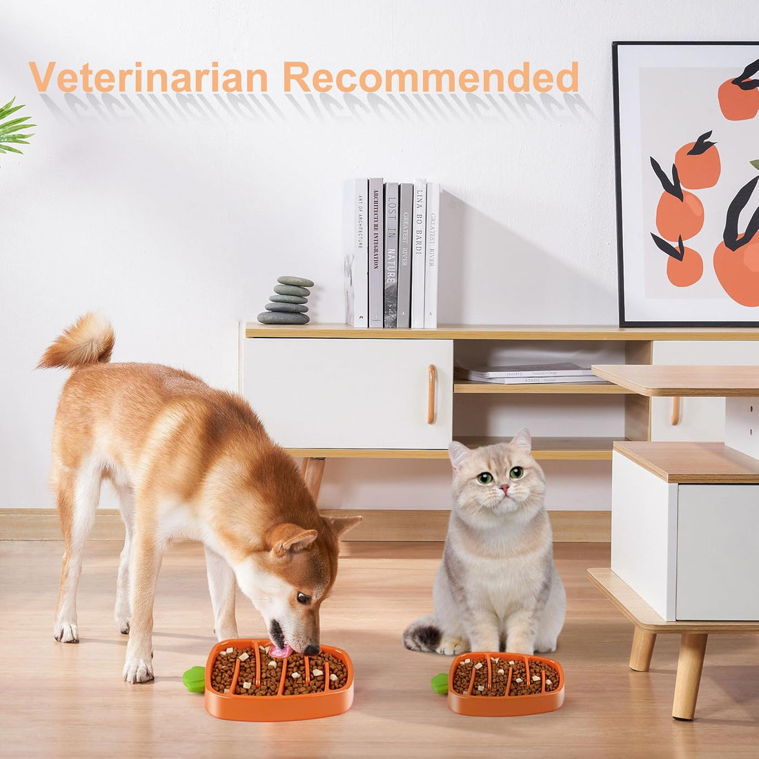 Carrot Design Non-Slip Slow Feeder Dog Bowl