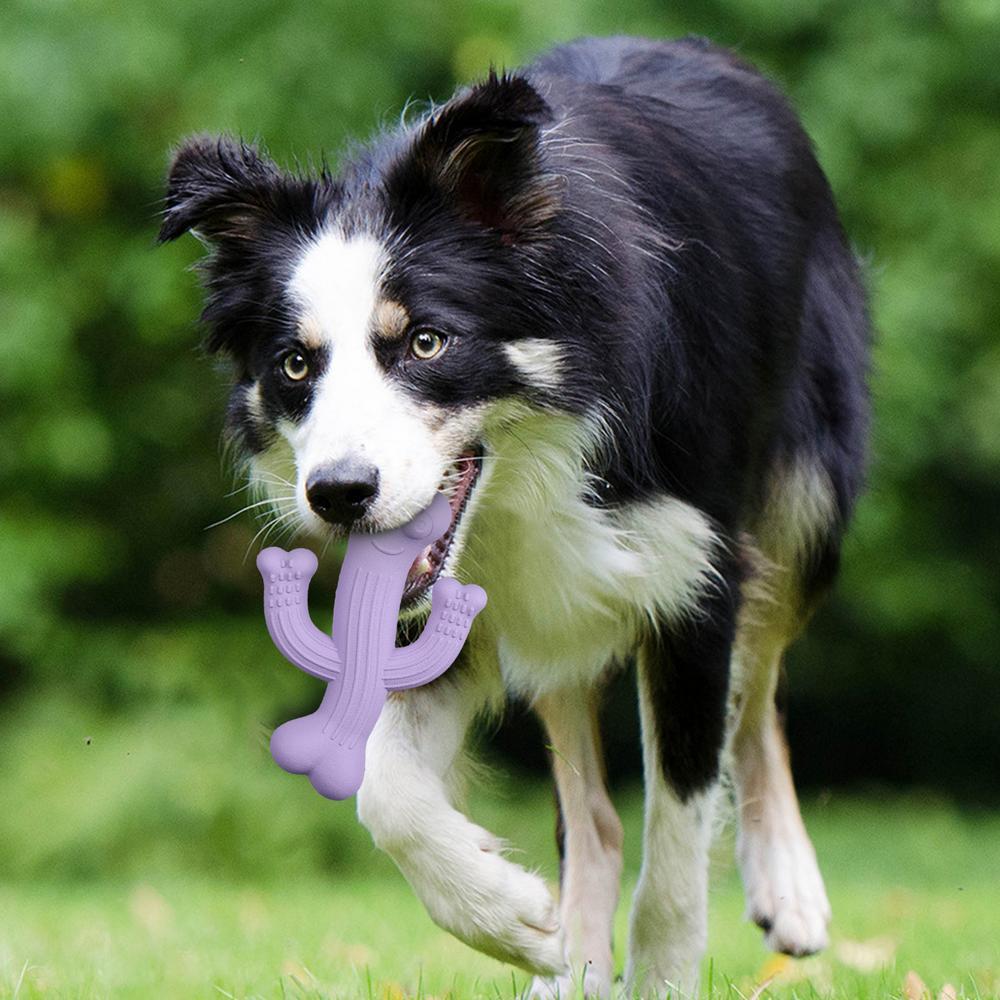 Cactus Dog Chew Toy For Aggressive Chewers