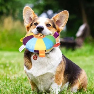 Dog Toy Bite-resistant Molar Sound Self-Hi Relieving Stuffy Artifact