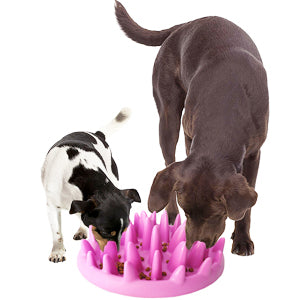 Cat  And  Dog Slow Feeder Bowl Non Slip Interactive Puzzle Feeder