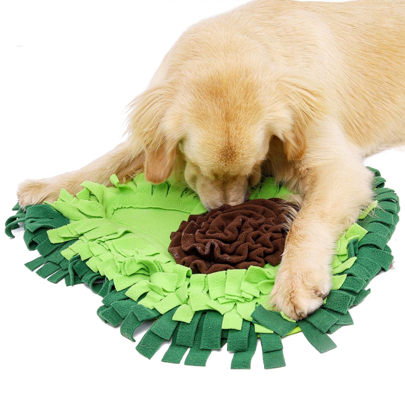 Dog Sniffing Mat Puzzle Toy Feeding Training Mat