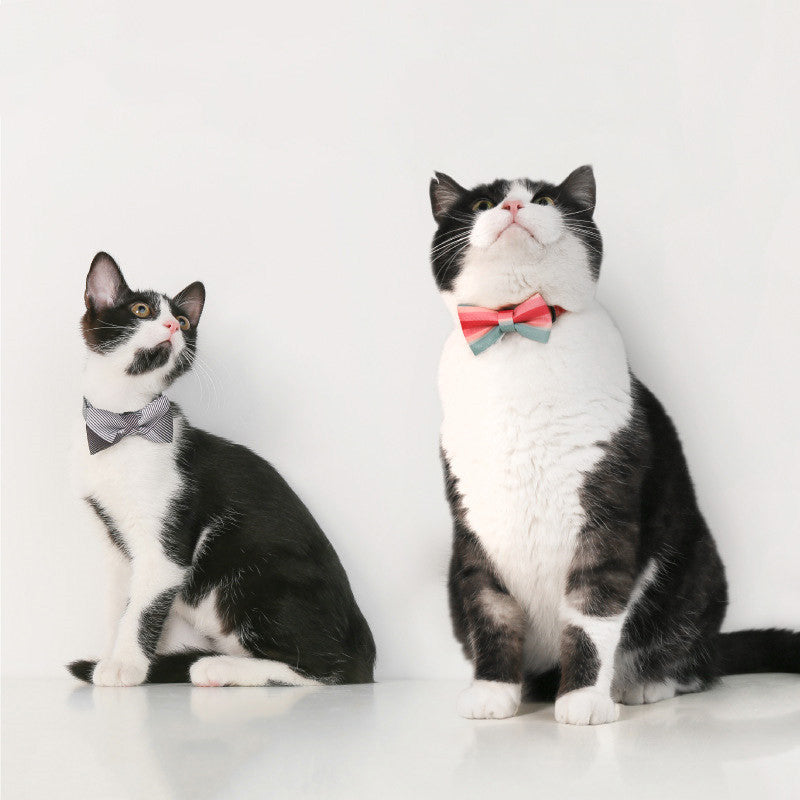 Pet Bow Tie Collar Accessory
