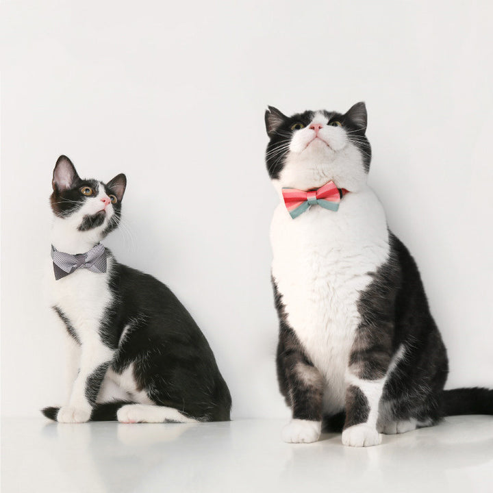 Pet Bow Tie Collar Accessory