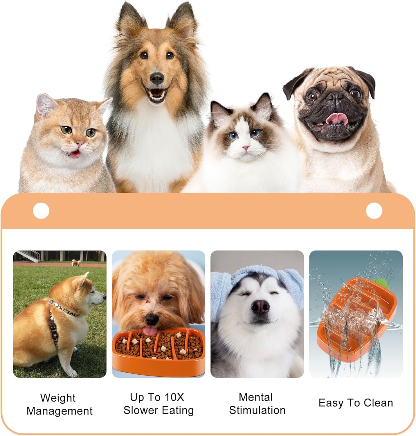 Carrot Design Non-Slip Slow Feeder Dog Bowl