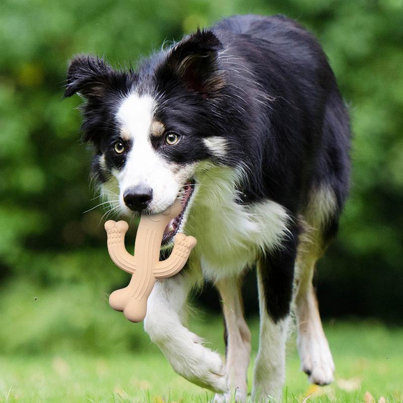 Cactus Dog Chew Toy For Aggressive Chewers