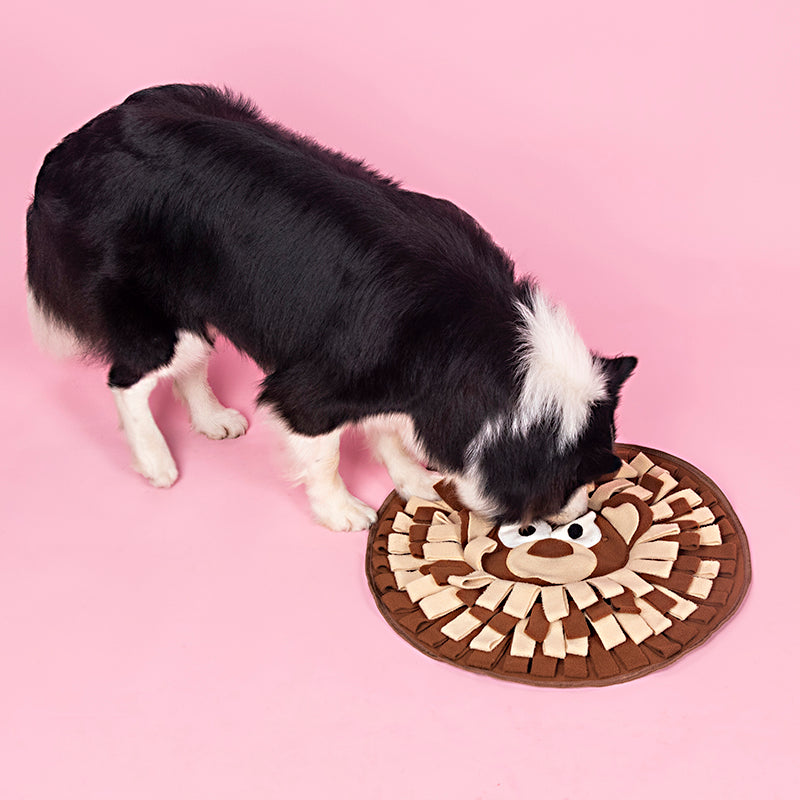 Dogs Snuffle Mat Pet Feeding Mats Puppy Sniffing Pad