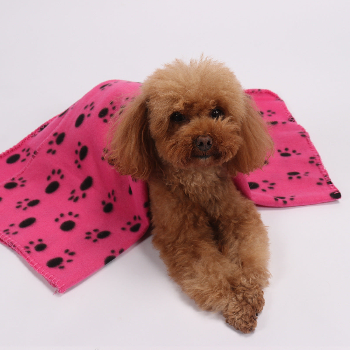 Dog Double-sided Fleece Blanket Warm Pet Blanket